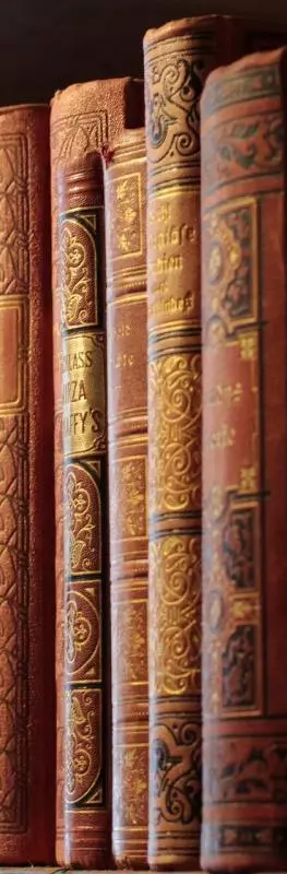 Old books on a book shelf