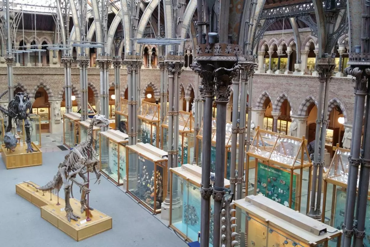 A view from the inside of the Oxford Museum of Natural History